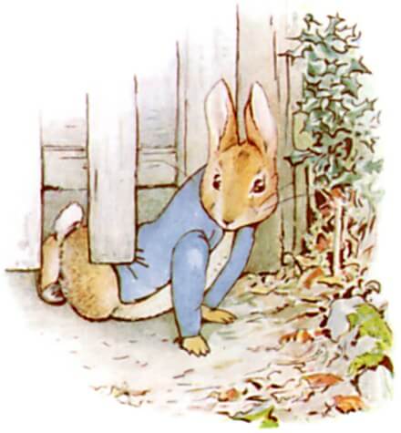 The Tale of Peter Rabbit by Beatrix Potter
