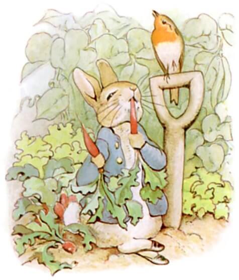 The Tale of Peter Rabbit by Beatrix Potter